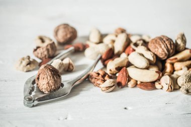 farklı fındık yakın çekim