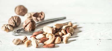 farklı fındık yakın çekim