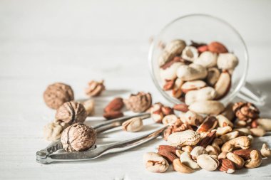 farklı fındık yakın çekim