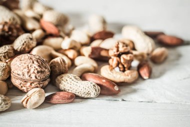 farklı fındık yakın çekim