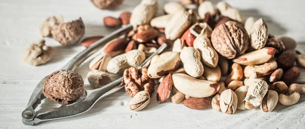 farklı fındık yakın çekim