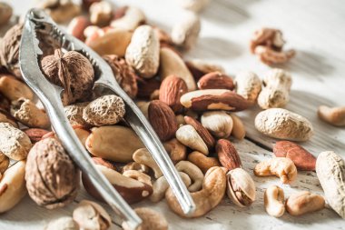 farklı fındık yakın çekim