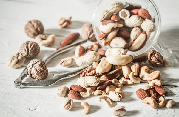 farklı fındık yakın çekim