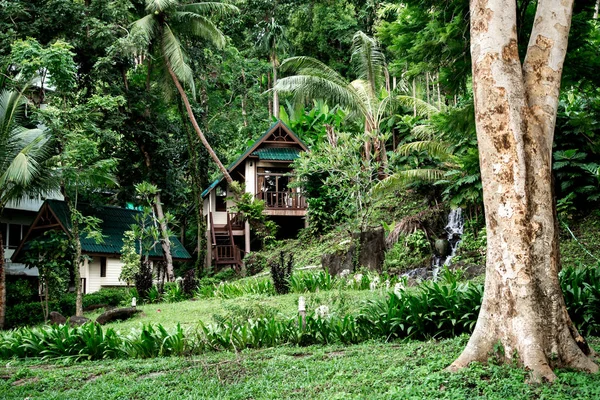 Tayland tropikal orman evde