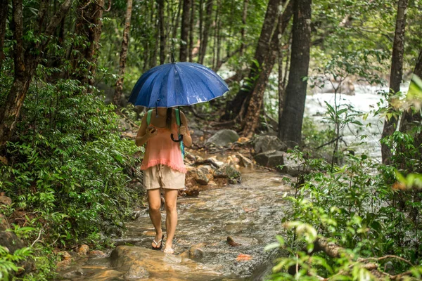 Meisje met paraplu in een regenwoud — Stockfoto