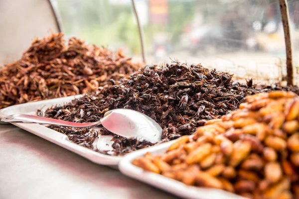 Comida tradicional tailandesa saltamontes, larvas —  Fotos de Stock