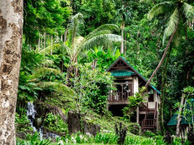 Tayland tropikal orman evde