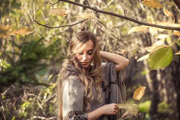 Menina bonita na floresta de outono — Fotografia de Stock