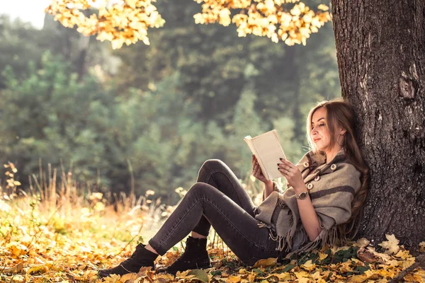 güzel kız sonbahar ormandaki bir kitap okuma