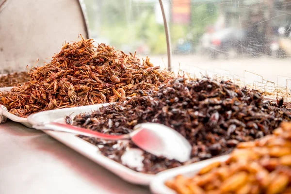 Tay geleneksel gıda çekirge, larva