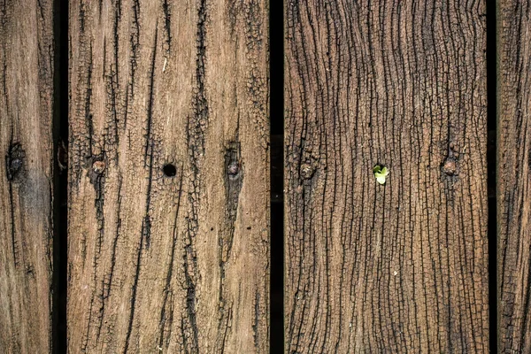 Красивый старый деревянный фон — стоковое фото