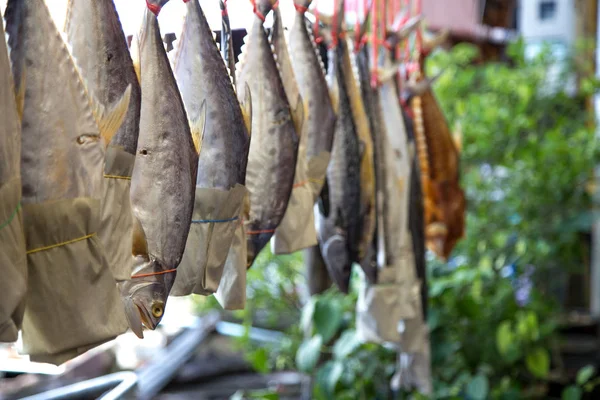 Dried fish hanging on a rope, a life and business fisherman — Stock Photo, Image