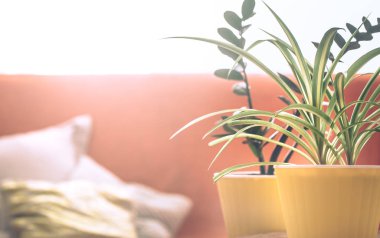 ev iç büyük bir tencerede