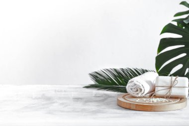 Hafif arkaplanda bakım öğeleri olan spa bileşimi