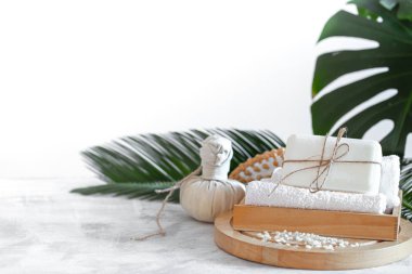 Hafif arkaplanda bakım öğeleri olan spa bileşimi