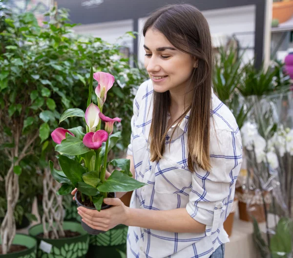 Beautiful young woman in a flower shop and choosing flowers. The concept of gardening and flowers .