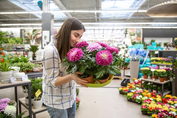 Beautiful young woman in a flower shop and choosing flowers. The concept of gardening and flowers .