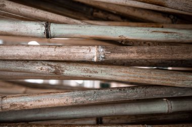 Bir sürü bambu çubuğu olan doğal bir arka plan. Doğal bitki arkaplanı kavramı.