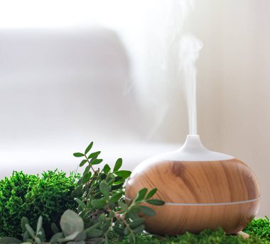 Taze bitkilerle modern Aromatik yağ ayırıcı. Evdeki temiz ve güzel kokulu hava..