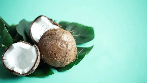 Une Grande Feuille Naturelle Monstère Avec Noix Coco Sur Fond — Photo