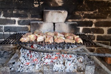 Doğada ev yapımı barbekü. Izgarada et kızartıyoruz. Sıcak atmosfer ve ev yemekleri.