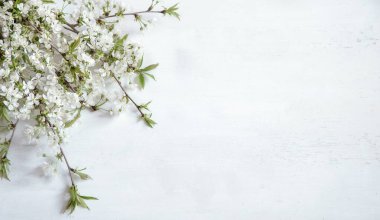 Tahta ışıklı arka plan ve güzel bahar çiçekleri..