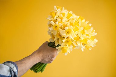 Sarı arka planda, gömlekli bir hippi ve büyük bir buket nergis çiçeği. Selamlama ve kadınlar günü kavramı..