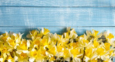 Güzel bahar çiçekleri ve mavi ahşap bir arka planda. Bahar konsepti.