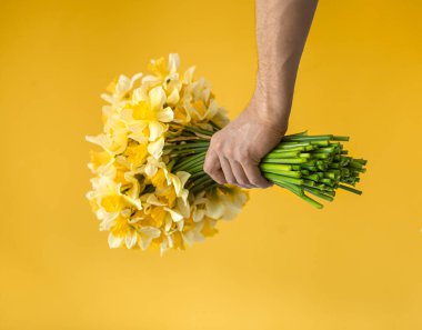 Sarı arka planda, gömlekli bir hippi ve büyük bir buket nergis çiçeği. Selamlama ve kadınlar günü kavramı..