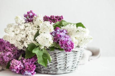 Hasır sepette leylak çiçekleri olan bahar kompozisyonu. Anneler ve kadınlar günü. Mesaj için yer var. Yatay oryantasyon. Hediye sepetleri ve çiçek teslimatları.