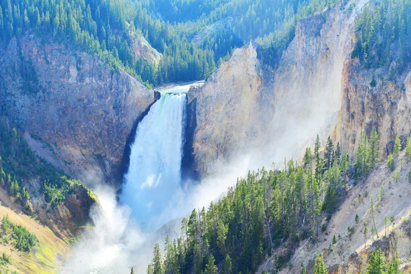 Alt Falls Yellowstone Wyoming Büyük Kanyon