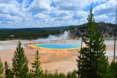 Grand Prizmatik Bahar, Yellowstone Milli Parkı, Wyoming