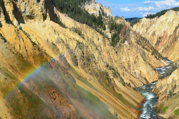 Büyük Kanyon Yellowstone Milli Parkı
