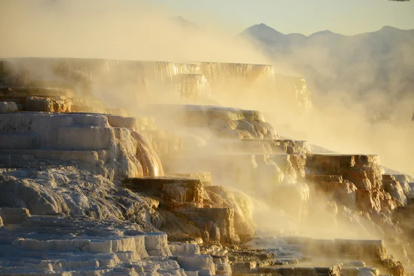 Yellowstone'da mamut hot springs