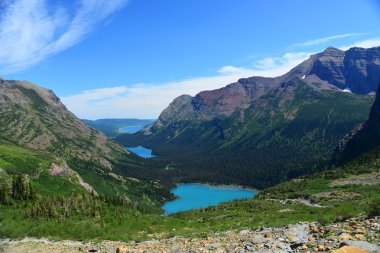 Yaz aylarında Grinnell Gölü buzul Milli Parkı'nda