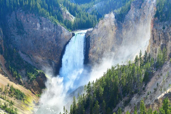 Lower Falls i Grand Canyon i Yellowstone, Wyoming Stockbild