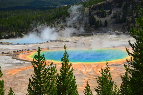 Grand Prizmatik Bahar, Yellowstone Milli Parkı, Wyoming