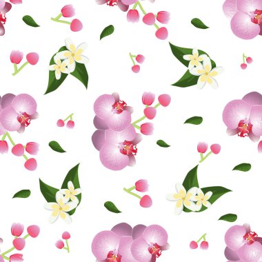 Orkide Dikişsiz desen vektör.