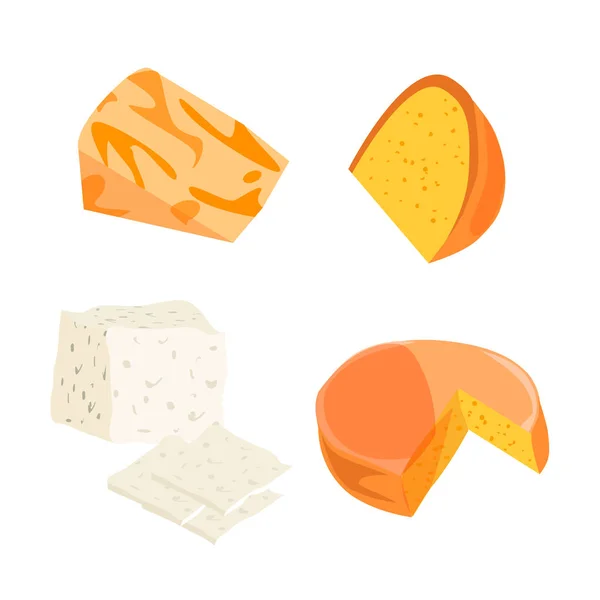 Tipi di formaggio. Icone moderne di illustrazione vettoriale realistica in stile piatto . — Vettoriale Stock