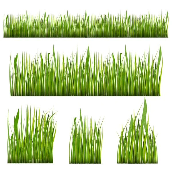 Yeşil çim Set, vektör çizim sınırları