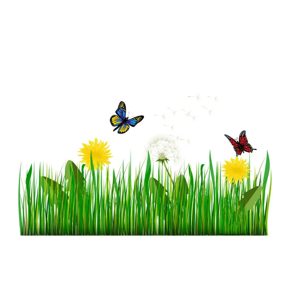 Green Grass met paardebloem vectorillustratie — Stockvector