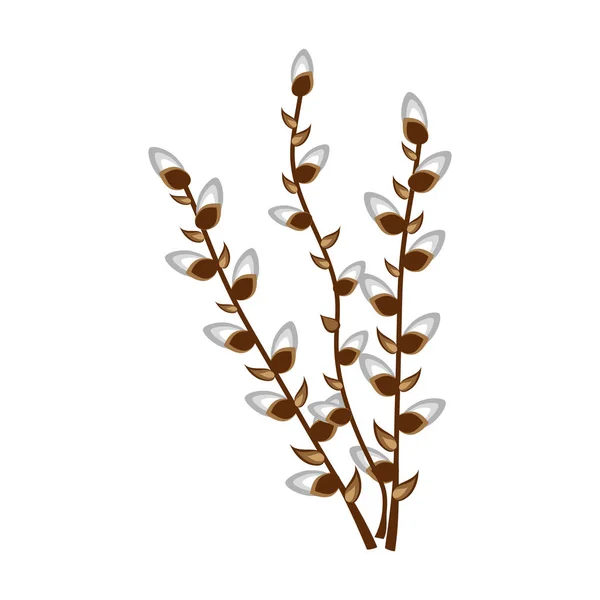 Φύση Πάσχα λουλούδι δέντρο φυτό μουνί-ιτιά άνθος διανυσματικά εικονογράφηση. — Διανυσματικό Αρχείο