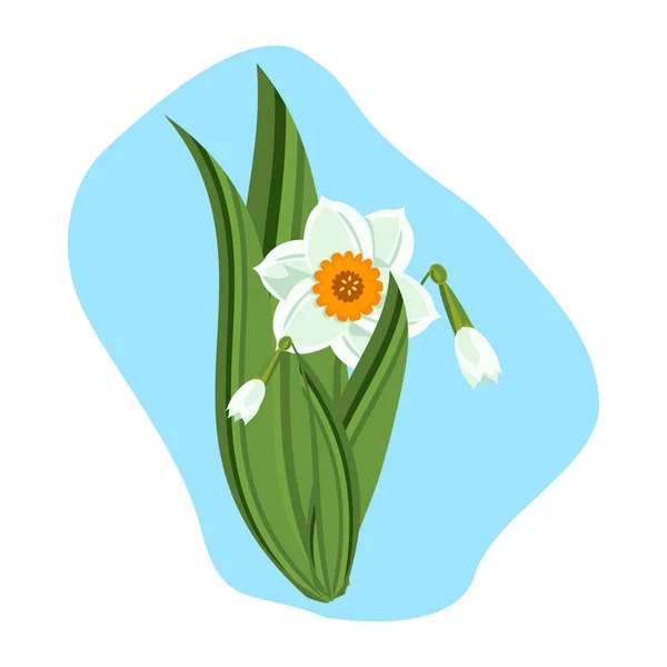 美しい水仙の花緑の自然植物のベクトル図. — ストックベクタ