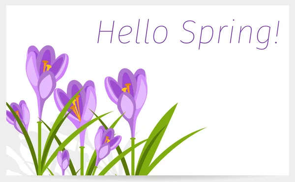 Wedding or birthday invitation spring flower celebration card vector. — Stock Vector