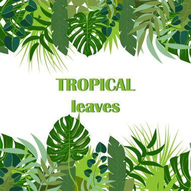 Güzel vektör çiçek yaz arka plan ile tropikal palmiye yaprakları. Duvar kağıtları, web sayfası arka planlar, yüzey dokuları, tekstil için mükemmel.