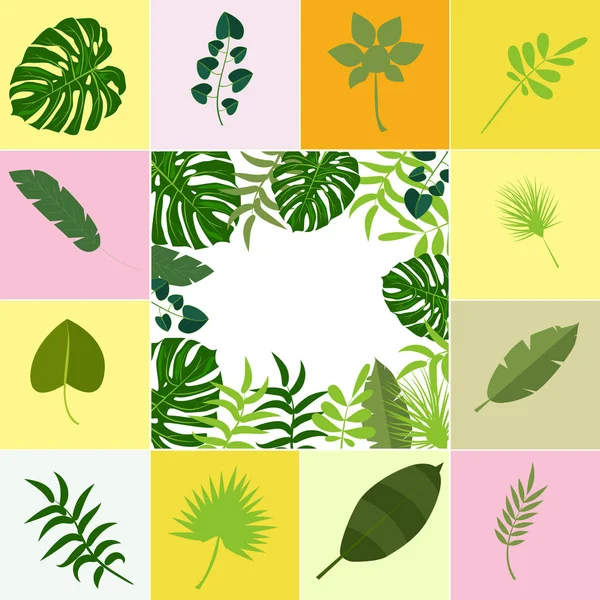 Tropische Blätter Palme Sommer exotisch Dschungel grün Blatt Vektor Illustration — Stockvektor