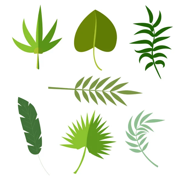 Tropiska löv palm sommar exotisk djungel grönt blad vektorillustration — Stock vektor