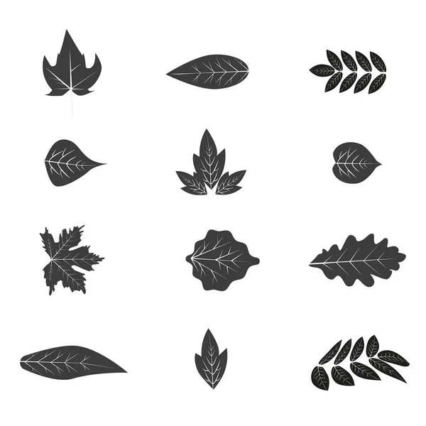 Autumn leaves set simple nature leaf cartoon flat style vector illustration — Stock Vector