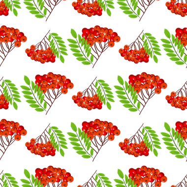 Rowan grup çilek kırmızı olgun yaprak ağaç Sonbahar sezonu doğal meyve Dikişsiz desen arka plan vektör çizim.