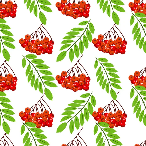 Rowan grup çilek kırmızı olgun yaprak ağaç Sonbahar sezonu doğal meyve Dikişsiz desen arka plan vektör çizim.